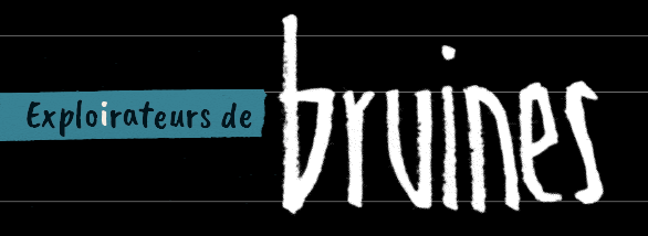 Exploirateurs de bruines